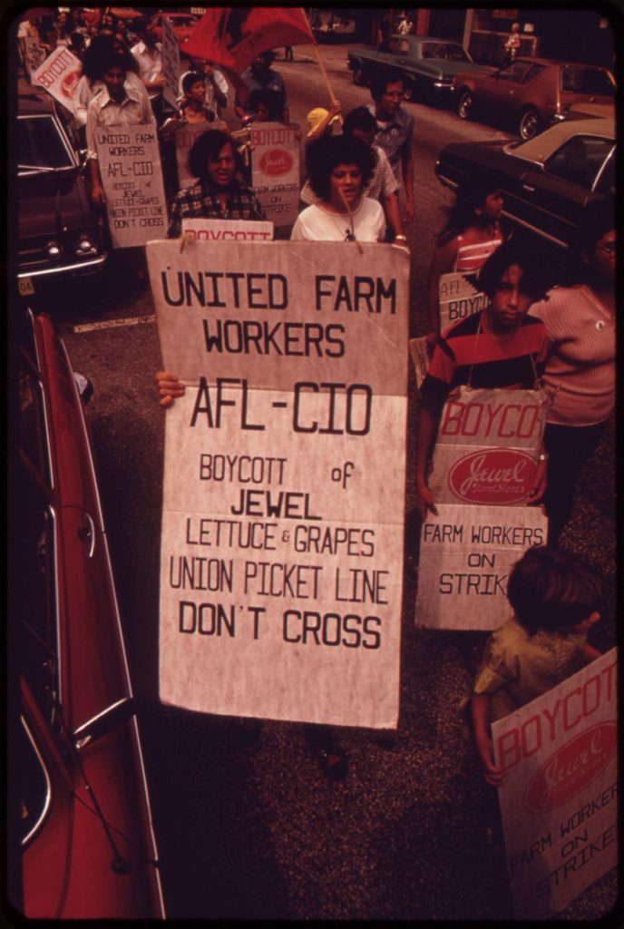 Workers picketing, holding signs