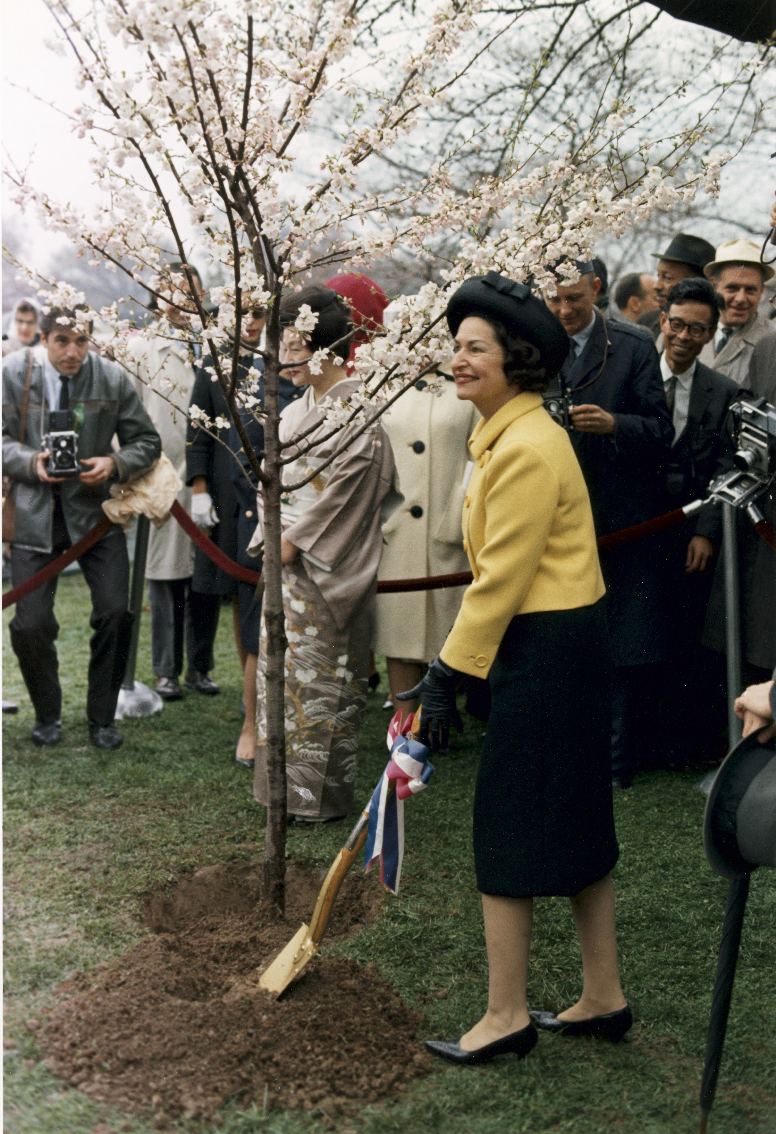 First Lady Lady Bird Johnson Planting a Tree During the Annual Cherry Blossom Festival