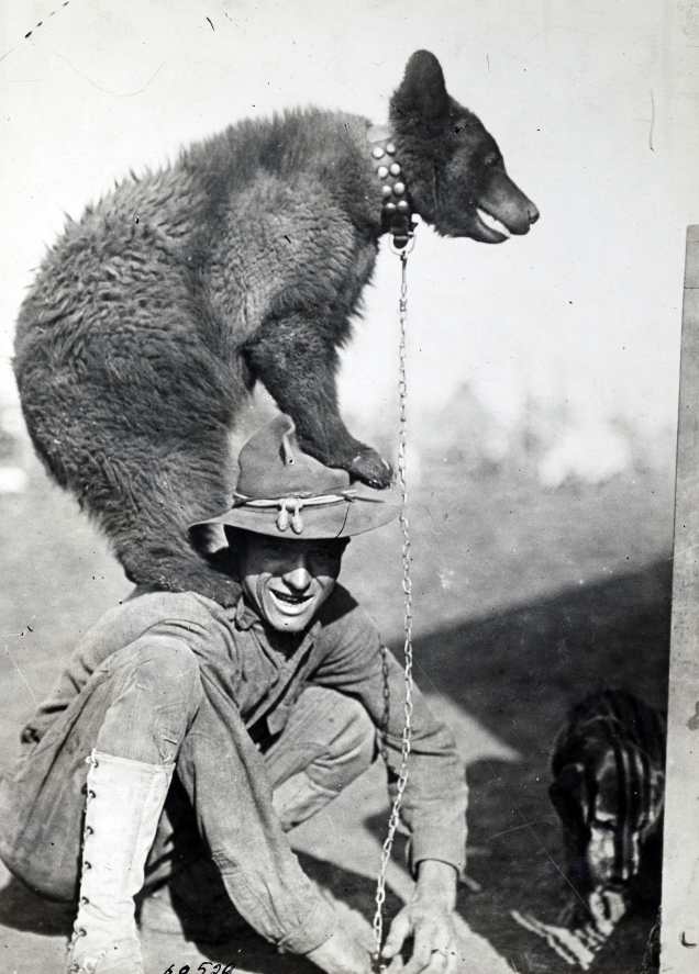 Bear on Soldier's Shoulders